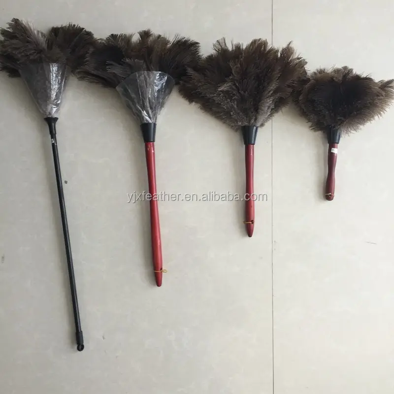 Fornitore della cina di manico in legno piuma di struzzo spolverino pollo feather duster