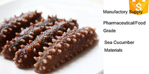 ทะเลแตงกวาแคปซูล/แตงกวาทะเลแห้ง/แตงกวาทะเลสารสกัดจากผง - Product Image 4