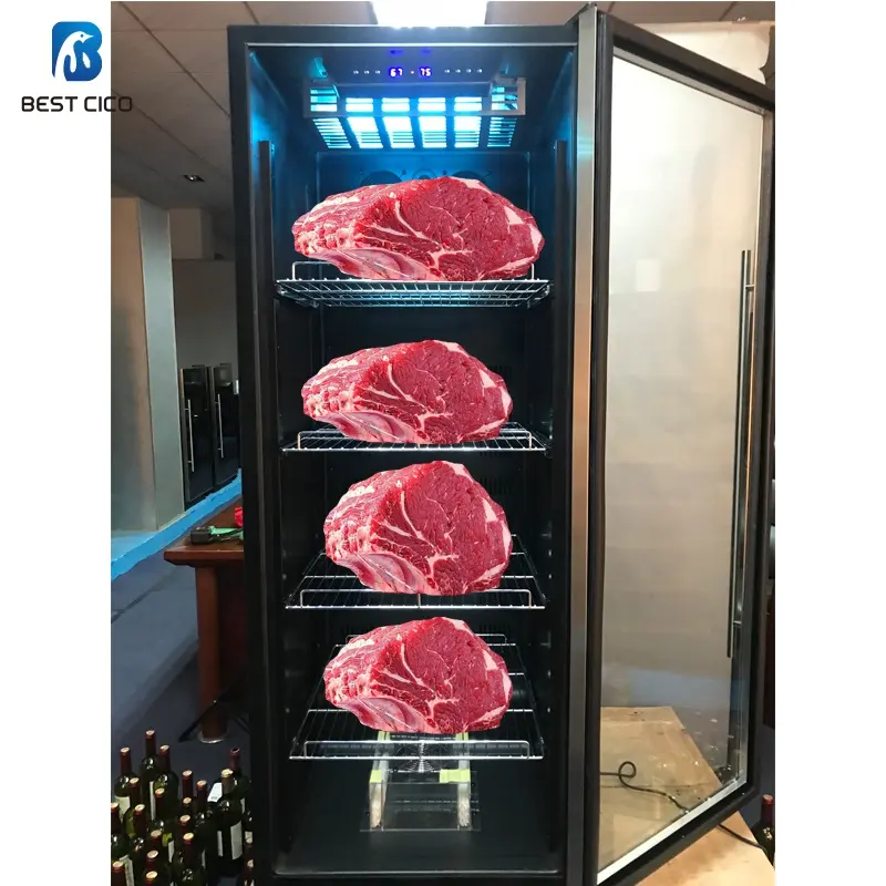 CICO clásico seco envejecimiento refrigerador de carne secado Ager seca pantalla neveras para venta DA-380A