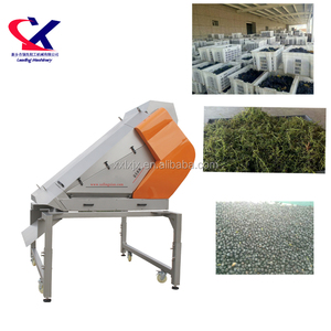 Linea di Lavorazione per vinificazione uva Destemmer e Sorter di Fabbrica