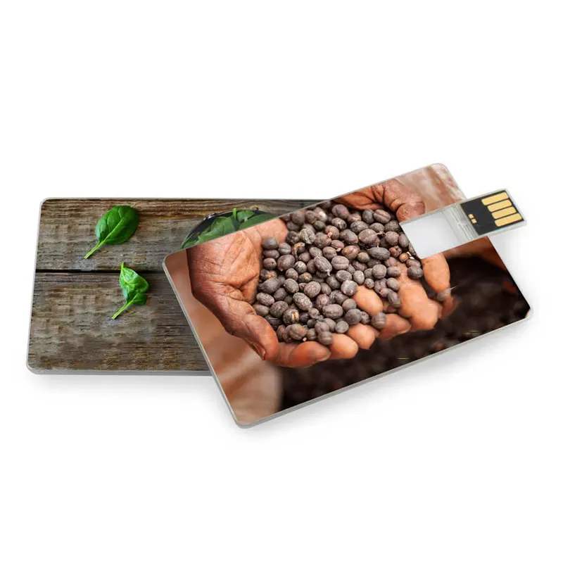 Gitra 도매 프로모션 Pendrive 플래시 메모리 슬림 비즈니스 신용 카드 USB 플래시 드라이브 32GB