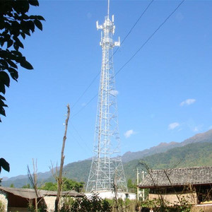 フィリピンから輸入された電気通信および格子タワー用の電気通信用の自立支援角度鋼トラスタワー