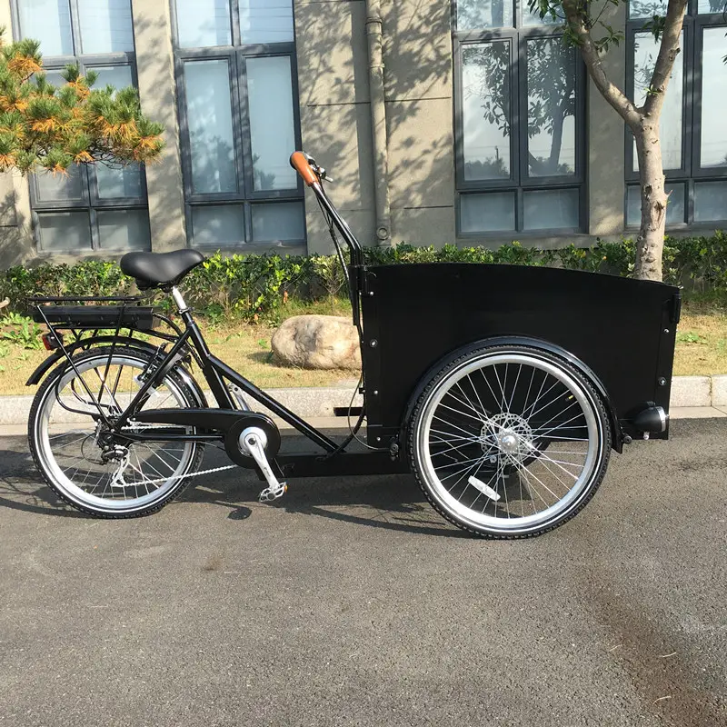 Tricycle électrique avec boîte avant en bois pour adulte, bicyclette avec 3 roues, remorque de bicyclette, modèle UB-9034E