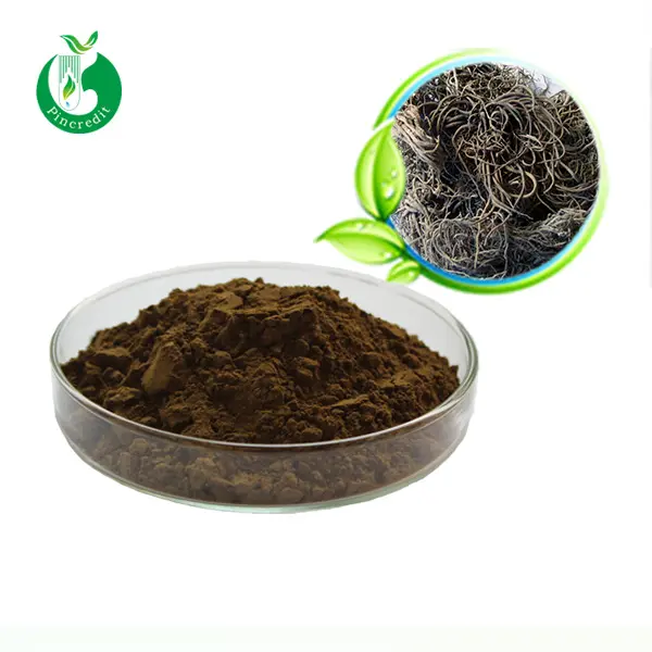Estratto di erbe di alta qualità Picredit estratto di radice di valeriana in polvere naturale