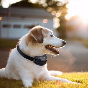 Passiontech PD-258s Sans collier anti-aboiement pour les petits et moyens chiens de taille avec ceinture En Nylon - Product Image 6