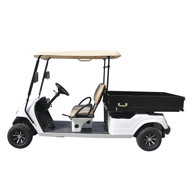Mini caddie de golf, batterie au lithium de haute qualité, style populaire