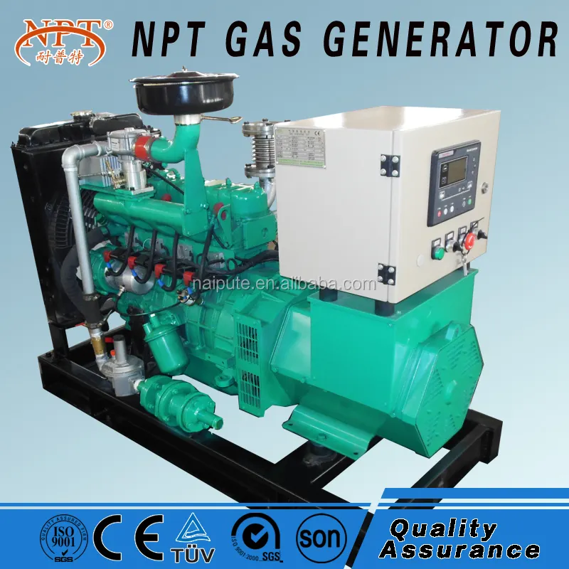 10 KW CE LPG Generator Weifang Pabrik