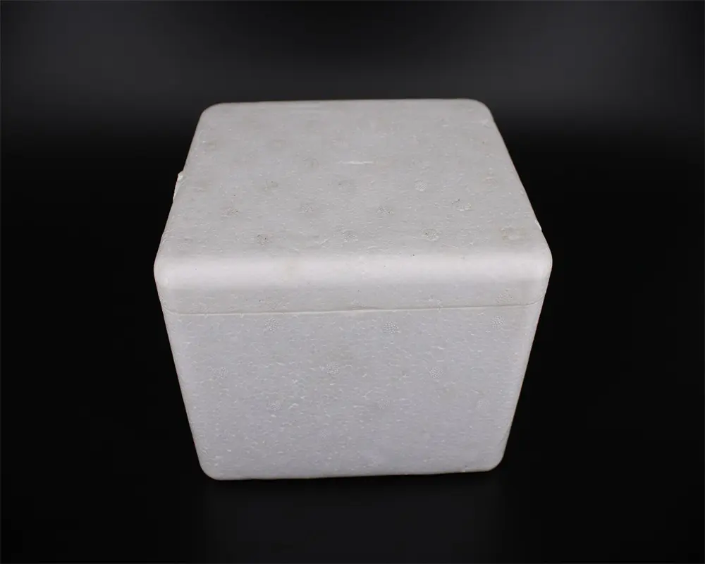 Witte hoge dichtheid piepschuim ice box met goede prijs