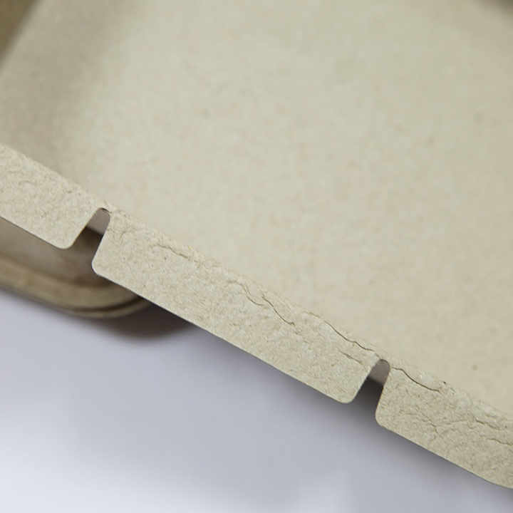 Disposable Biodegradable Molded Pulp Packaging Box