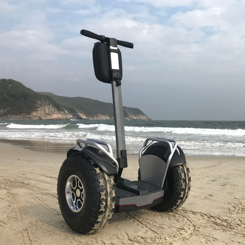 Patinete eléctrico de autobalanceo, scooter Eléctrico de rueda grande, carro todoterreno de 19 pulgadas