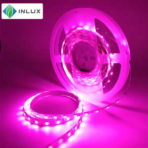 高品质 DC 24 V 12 V smd 5050 60 led rgb dmx 512 16.4ft 90 led IP20 IP65 IP67 IP68 柔性 dmx RGB led 灯带 - Product Image 6