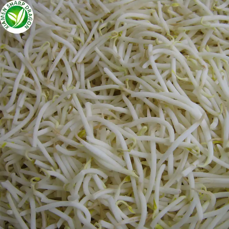 Productor al por mayor fabricante precio iqf vegetales verdes congelados brotando frijoles mung