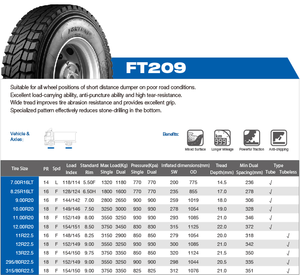 Fortune <strong>Tire</strong> FT209 13R22.5 CHENGSHAN <strong>TIRE</strong> CST209 13R22.5 AUSTONE - Product Image 3