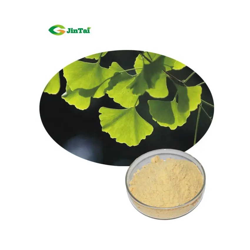Factory Supply Ginkgo Biloba Leaf Extract Flavonen 24% Lactones 6%