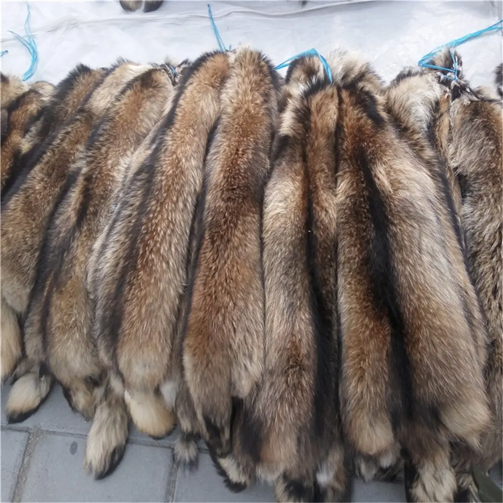 Real Raccoon Fur Skins Chinese natural Raccoon Fur Pelt For clothes Hood