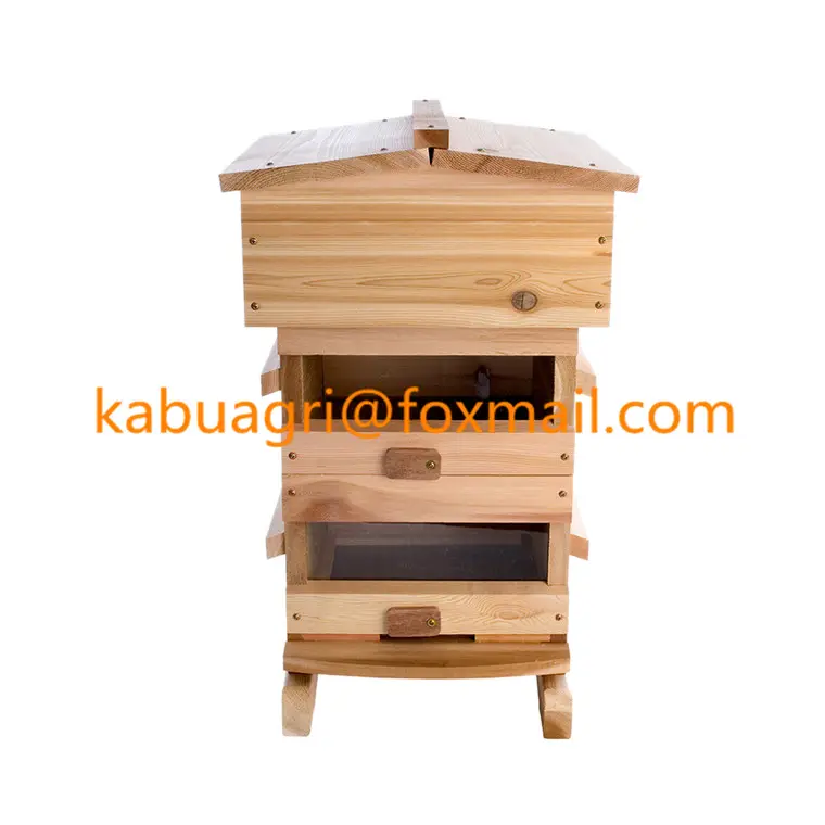 Naturale beehive legno Warre Alveare alveare di api forniture
