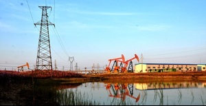 Elecnova 自动装置 WDH-31-500 多功能控制继电器 SOE 记录定制电机控制器 - Product Image 6