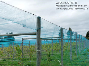 Jardín <span class=keywords><strong>Anti</strong></span> pájaro Red de la fruta del árbol de nylon jardín escalada neto