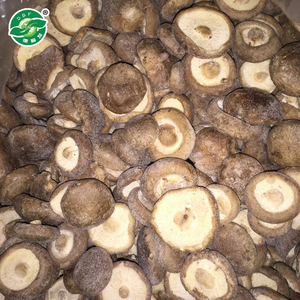 Standard Exported Packing HACCP Frozen Vegetable Mushrooms <strong>Shiitake</strong> - Product Image 2