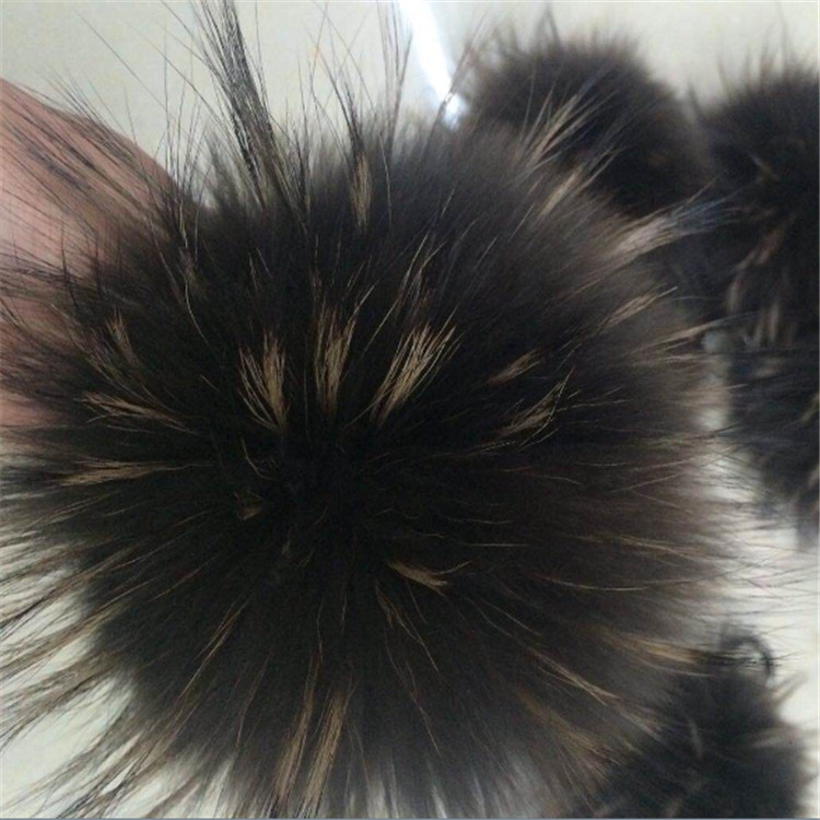 BC-004