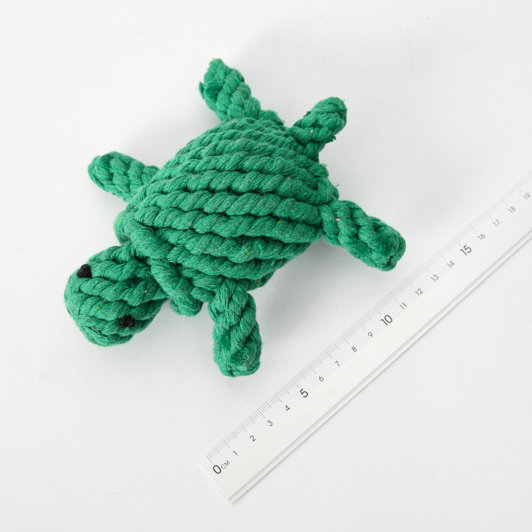 Tortue verte