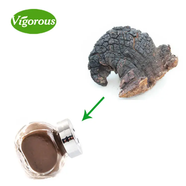 Natural Orgânico Puro Beta-glucano inonotus oblíquo Cogumelo Chaga Extrato Em Pó