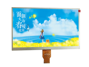 10.1 inç 1024lcd ekran IPS TFT dayanıklı dokunmatik Panel RGB arayüzü ile - Product Image 6
