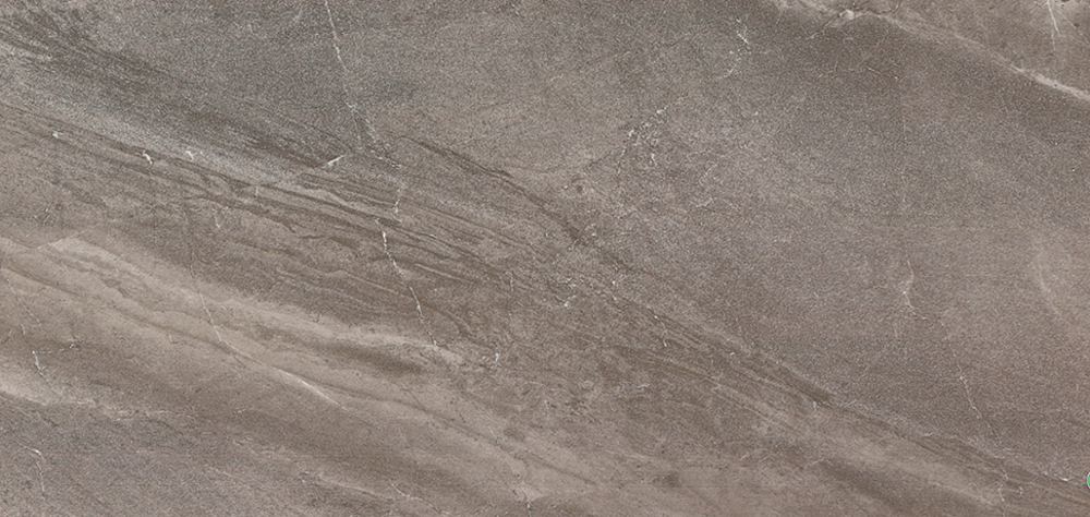STC368004