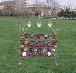 Tri-<strong>Step</strong> <strong>Display</strong> Bench <strong>With</strong> Purlin, Garden <strong>Display</strong> Racks , - Product Image 4