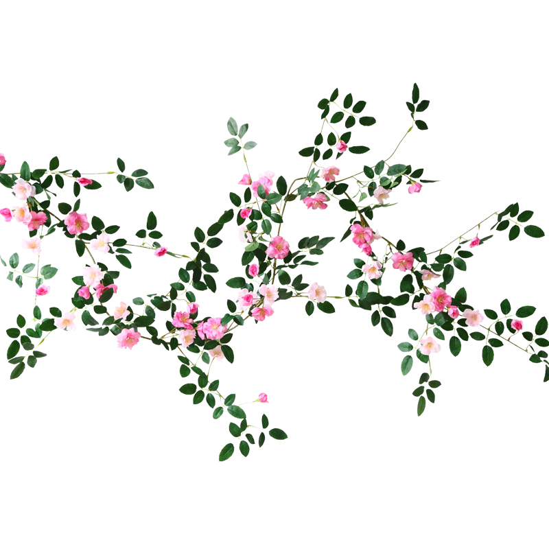 Fleur de vigne-1