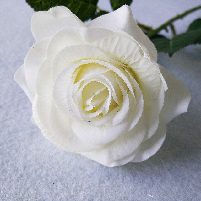 blanco