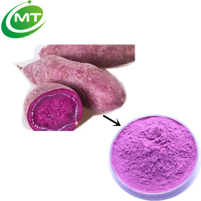 Bio reines natürliches süßes lila Kartoffel pulver/sprüh getrocknetes lila Kartoffel pulver
