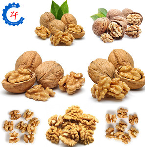 Máquina Eléctrica de separación de Cascanueces de nueces, trituradora de nueces, macadama, Pecan, gran oferta - Product Image 6