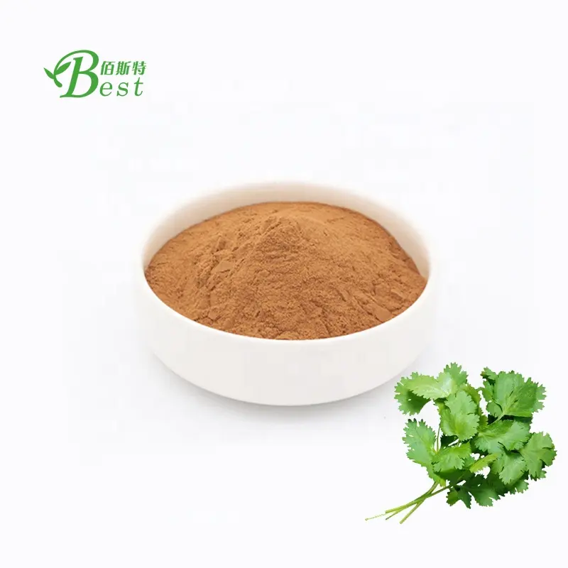 Bulk coriander extract/price coriander powder 10:1