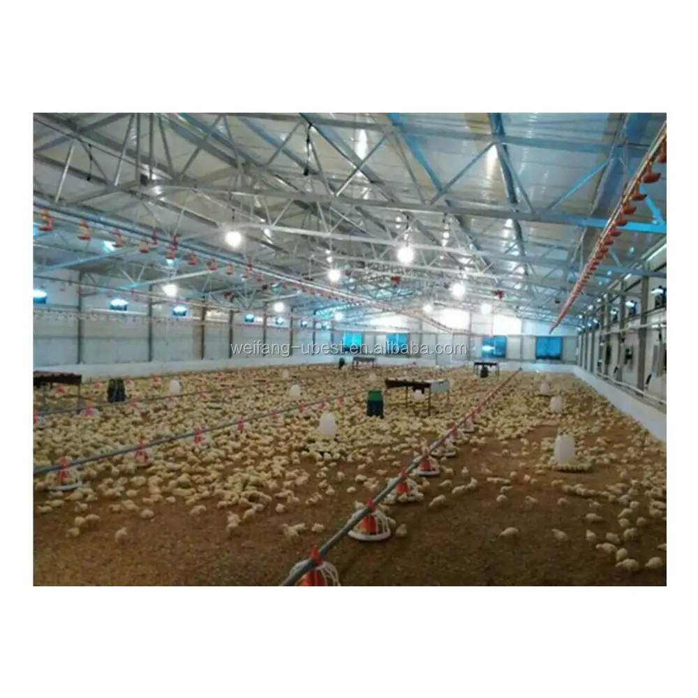 China Factory Supply High Modern Poultry Farm House Design for Chicken