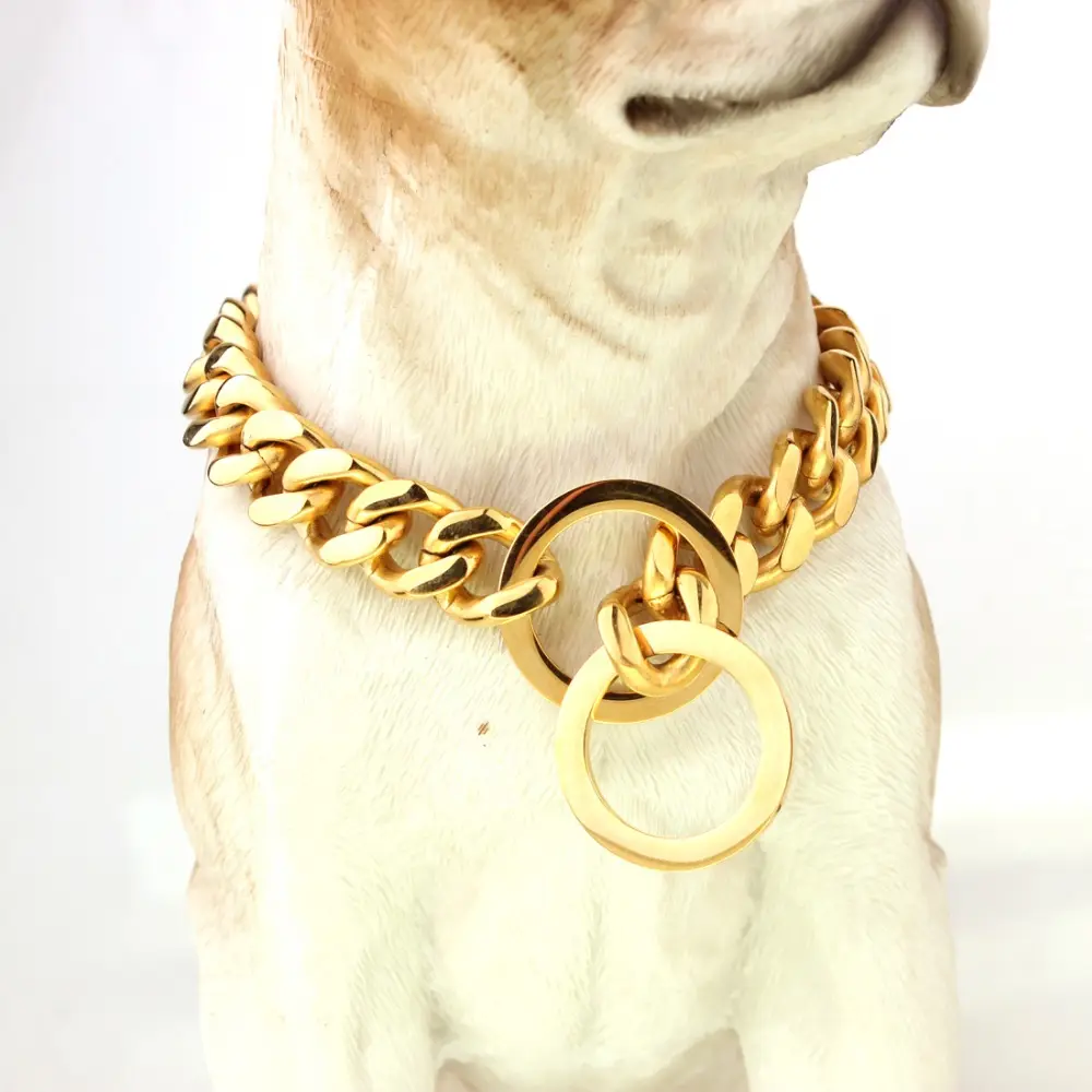 Collar para perro Labrador de acero inoxidable, pitbull, de lujo, de caza, de metal, 15mm, 316L