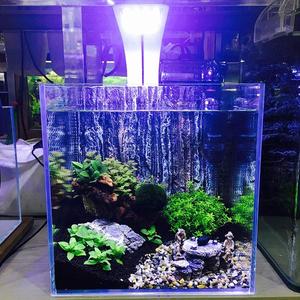24 <span class=keywords><strong>Led</strong></span> Aquarium Geplant Licht 10W Volledige Spectrum Plant Grow Clip Lamp Aquarium Verlichting Wit En Blauw <span class=keywords><strong>Led</strong></span> - Product Image 5