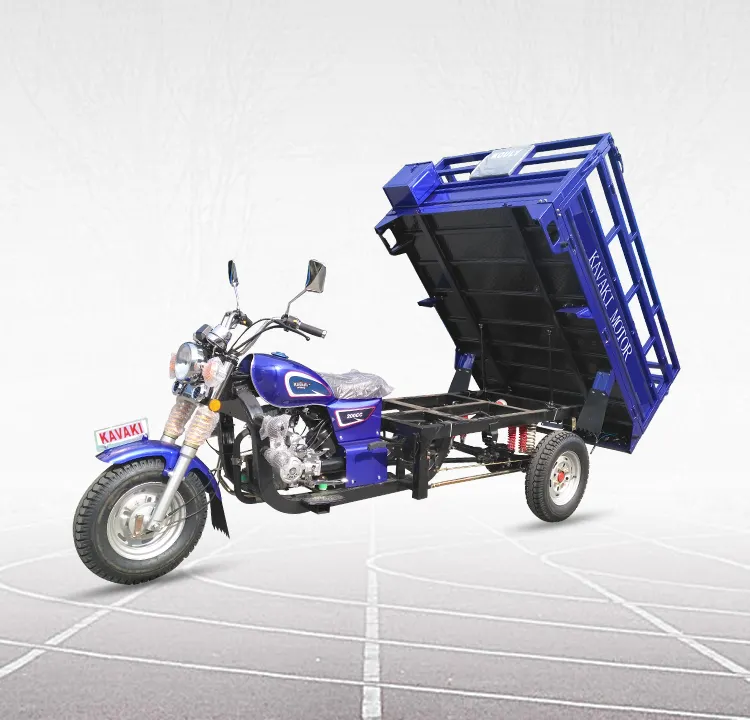 중국 광동 CCC ISO 200cc 250cc 는 아프리카 시장을 % s Trike 차를 사용했다