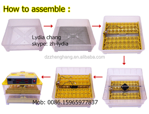 Jn96อัตโนมัติมินิไข่ฟักไข่( lydiaช้าง: 0086.15965977837) - Product Image 4