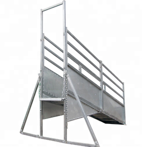 Permanent 6メートルCattle Ramp