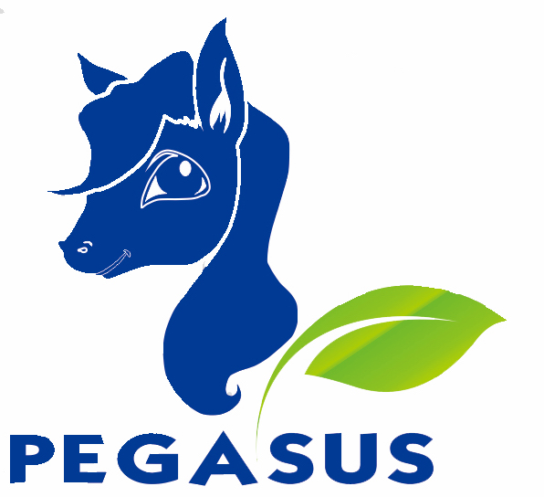 company logo