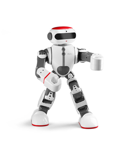DWI Dowellin Dobi Voice Control Intelligent Smart Kung Fu AI <strong>Robot</strong> Could App <strong>Programming</strong> - Product Image 6