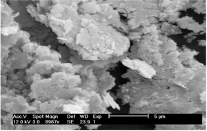 Fine Silver Powder - Product Image 3