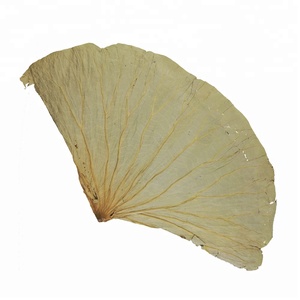 Yüksek Kaliteli Organik Lotus Kurutulmuş Bütün Yaprak, Dilim, Çay keser, Granül, Tozlar - Product Image 5