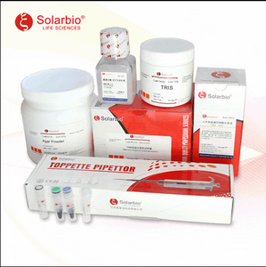 Solarbio Chất lượng cao phổ RT-PCR Kit(<span class=keywords><strong>AMV</strong></span>) - Product Image 2