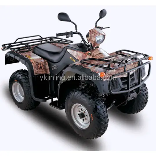 250cc 4 Zamanlı 250cc yol yasal quad