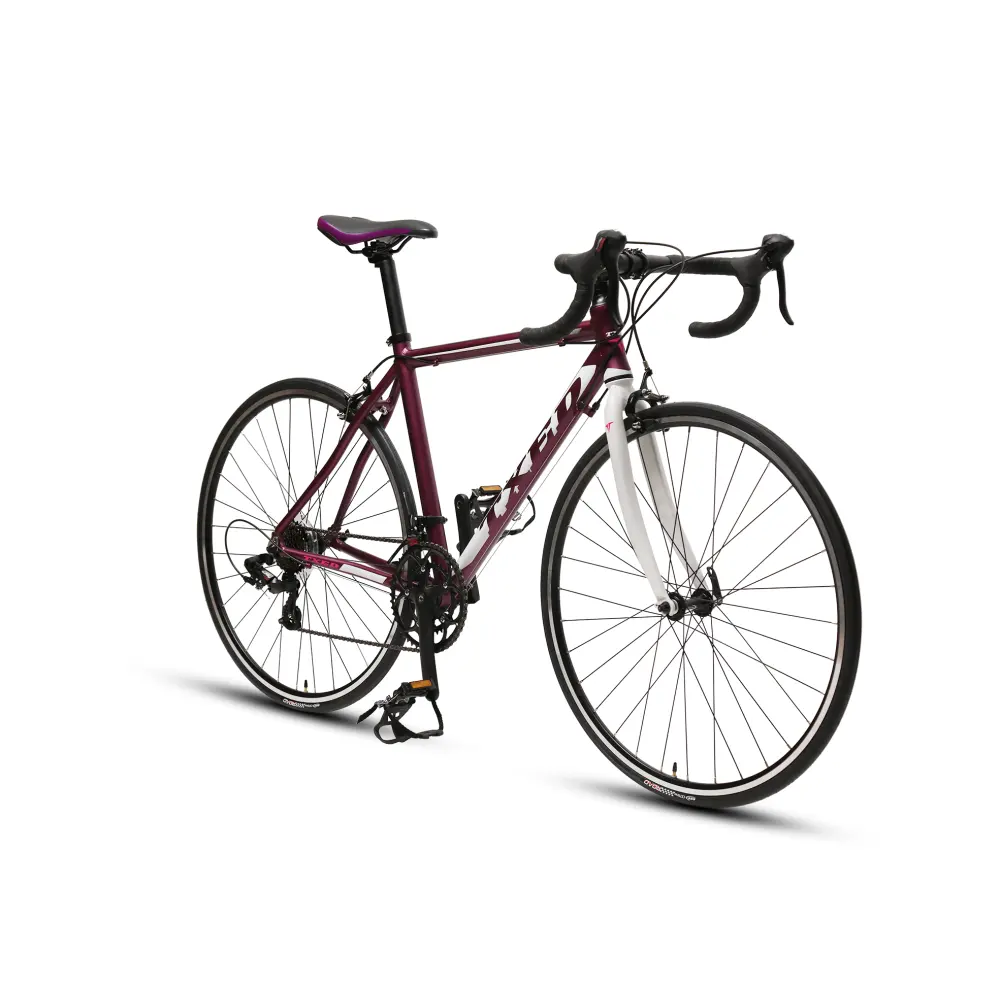 700C安価なレ自転車Hot Sale 14 Speeds Road Racing Bike