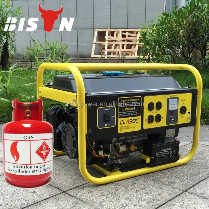 BISON China 1,5 kW 2kW 2,5 kW 3kW kleiner Erdgas-LPG-Generator