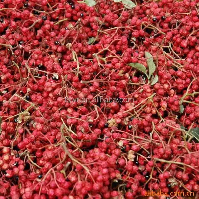 Çin dikenli kül/sichuan biber