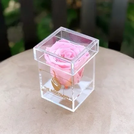 Acrílico Transparente Preservado Caixa De Exposição Rosa Petite Lucite Flor Caixa 1 Rosa Como Presente De Aniversário Presente De Aniversário